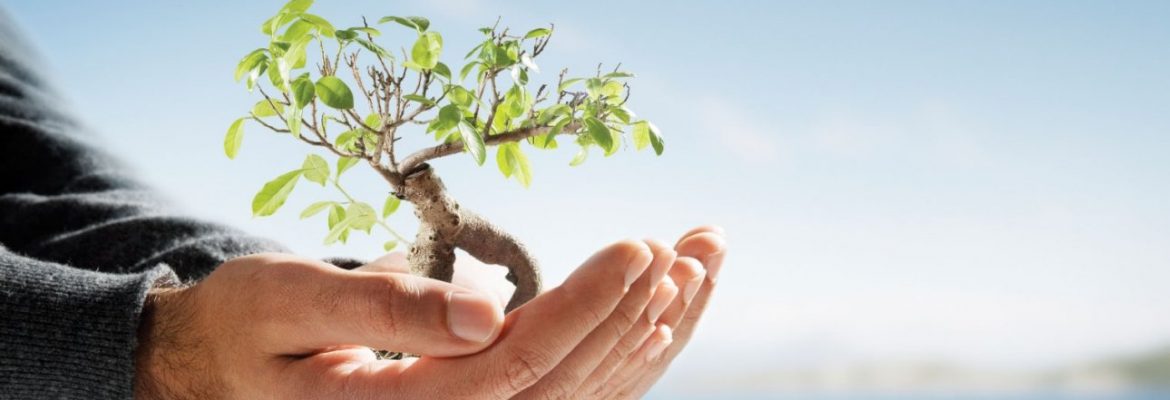 Environment Education and its Awareness